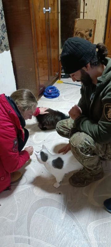 Друзья, наш частный приют "Мурысин дом" г.Луганска, который недавно переименован ( нас многие путали с таким же названием приюта из Донецка), где более 200 хвостиков, находясь в зоне проведения СВО и не имея никакой... Друзья, наш частный приют "Мурысин дом" г.Луганска, который недавно переименован ( нас многие путали с таким же названием приюта из Донецка), где более 200 хвостиков, находясь в зоне проведения СВО и не имея никакой...