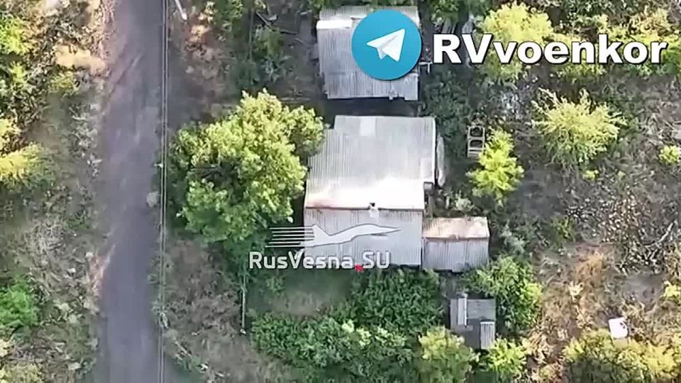    :       