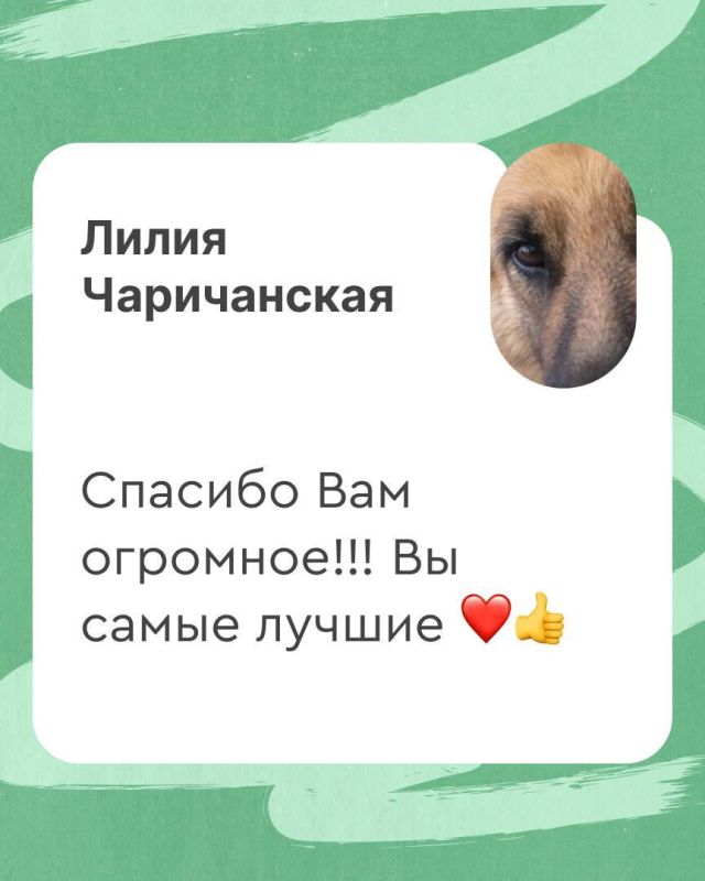 Родители мариупольских школьников поблагодарили лагерь «Дружных» за незабываемую смену Родители мариупольских школьников поблагодарили лагерь «Дружных» за незабываемую смену