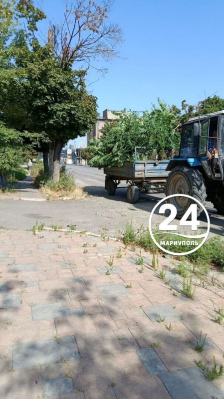 ПИШУТ ЧИТАТЕЛИ. Подписчица Елена прислала в наш чат-бот слова благодарности в адрес ответственной организации за оперативность в исполнении заявки по уборке участка дороги по улице Николаевской ПИШУТ ЧИТАТЕЛИ. Подписчица Елена прислала в наш чат-бот слова благодарности в адрес ответственной организации за оперативность в исполнении заявки по уборке участка дороги по улице Николаевской