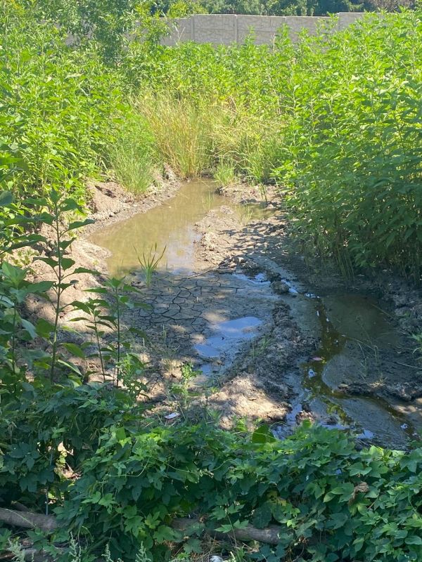Под контролем депутатов Народного Совета устранено уже около 260 порывов на водоводах Под контролем депутатов Народного Совета устранено уже около 260 порывов на водоводах