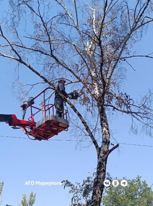 В поселке Сартана энергетики провели комплексный осмотр сетей наружного освещения В поселке Сартана энергетики провели комплексный осмотр сетей наружного освещения