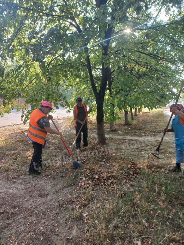 Сегодня в Кировском районе прошла акция «Чистый четверг» Сегодня в Кировском районе прошла акция «Чистый четверг»