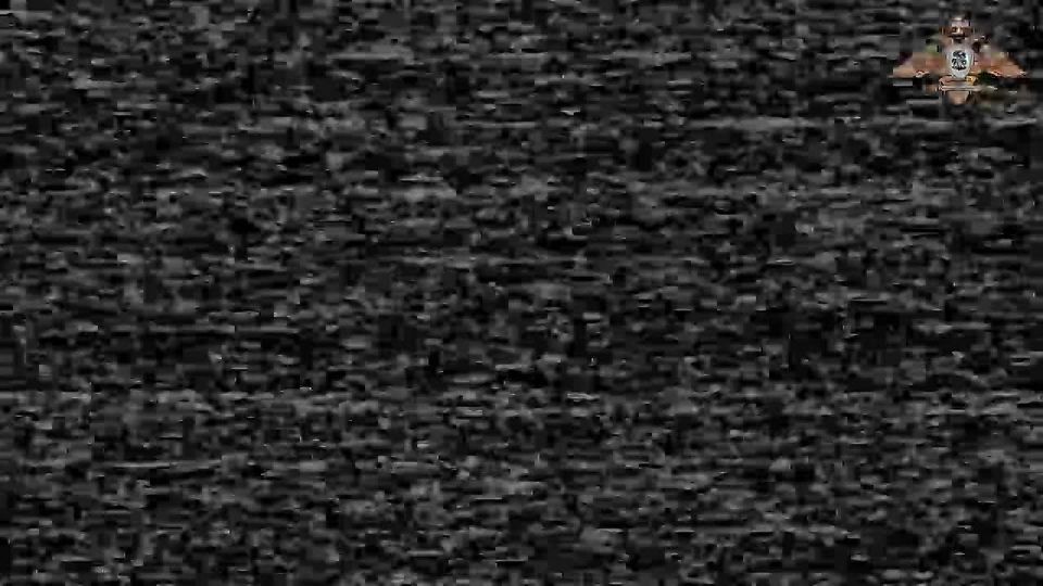       56 