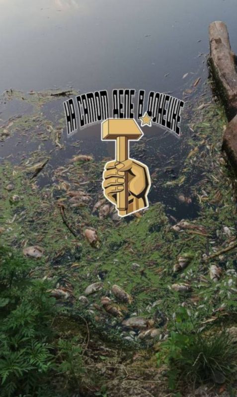 Макеевка. Длительное время течёт канализация на Бутовском повороте прямо в ставок «Дубрава» Макеевка. Длительное время течёт канализация на Бутовском повороте прямо в ставок «Дубрава»