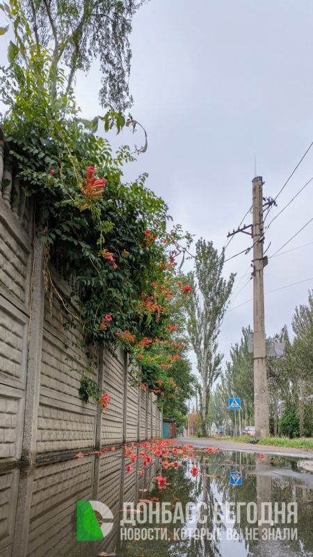 Пасмурный Донецк сегодня Пасмурный Донецк сегодня