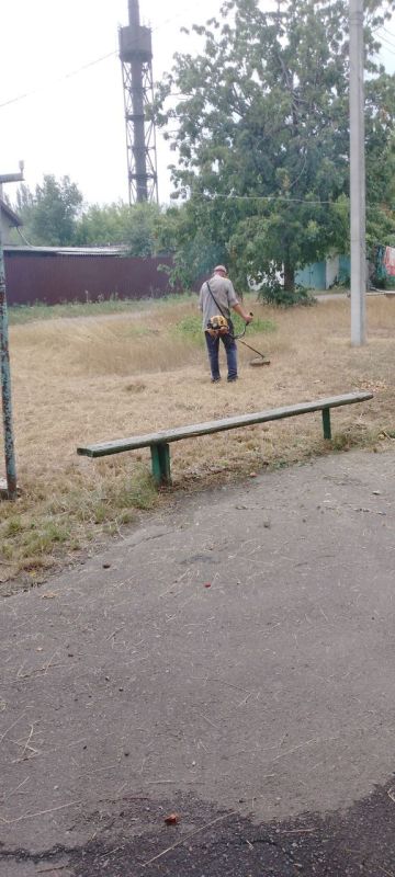 В Кировском внутригородском районе продолжаются работы по покосу травы В Кировском внутригородском районе продолжаются работы по покосу травы