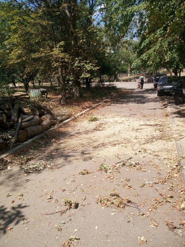 Виктория Жукова: По обращению граждан города Зугрэс, единая управляющая компания убрала аварийное дерево по адресу 60 лет октября д.35 Виктория Жукова: По обращению граждан города Зугрэс, единая управляющая компания убрала аварийное дерево по адресу 60 лет октября д.35