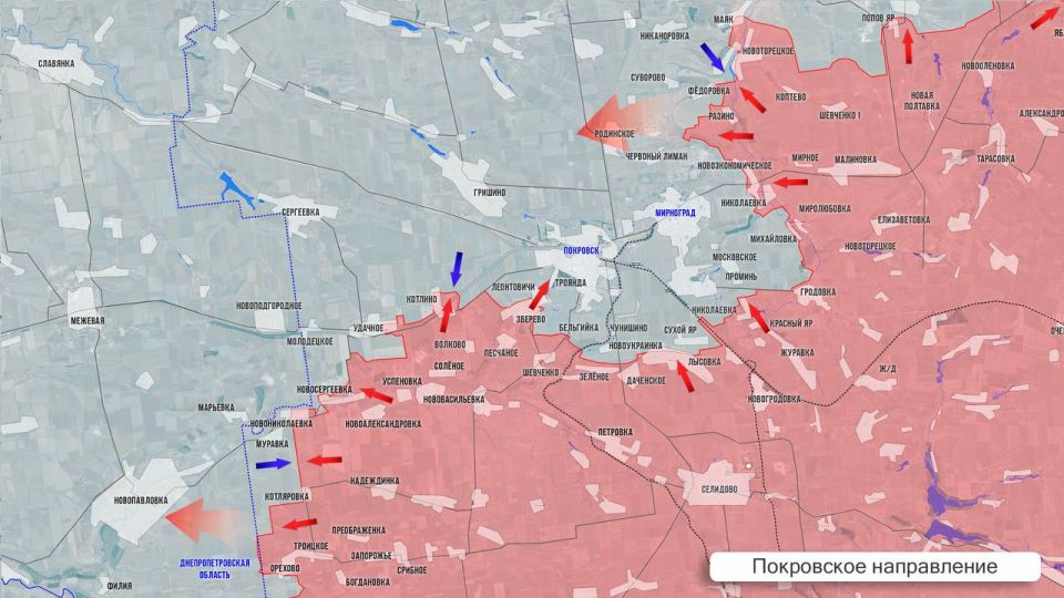 Олег Царёв: Фронтовая сводка 8 августа Олег Царёв: Фронтовая сводка 8 августа
