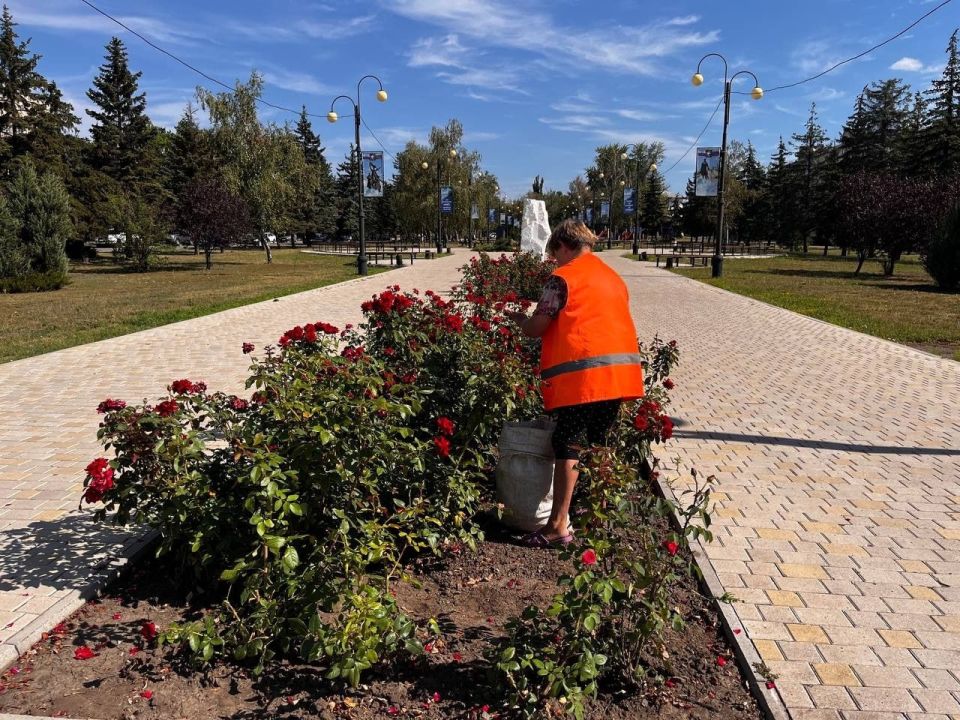 МУП «Простор» ежедневно выполняет все необходимые работы по содержанию городских улиц МУП «Простор» ежедневно выполняет все необходимые работы по содержанию городских улиц