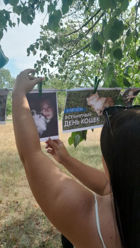 #КУЛЬТУРНЫЙАВГУСТ. 08.08.2025 г. в МБУ "Анадольский СДК" прошли фотосушка и беседа "Домашние любимцы", посвящённые Всемирному дню кошек #КУЛЬТУРНЫЙАВГУСТ. 08.08.2025 г. в МБУ "Анадольский СДК" прошли фотосушка и беседа "Домашние любимцы", посвящённые Всемирному дню кошек