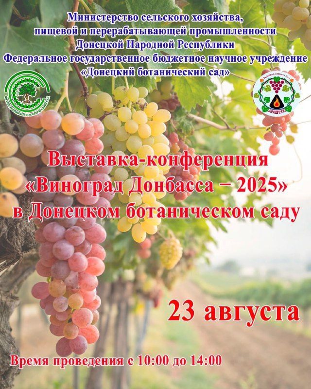 23       -   - 2025