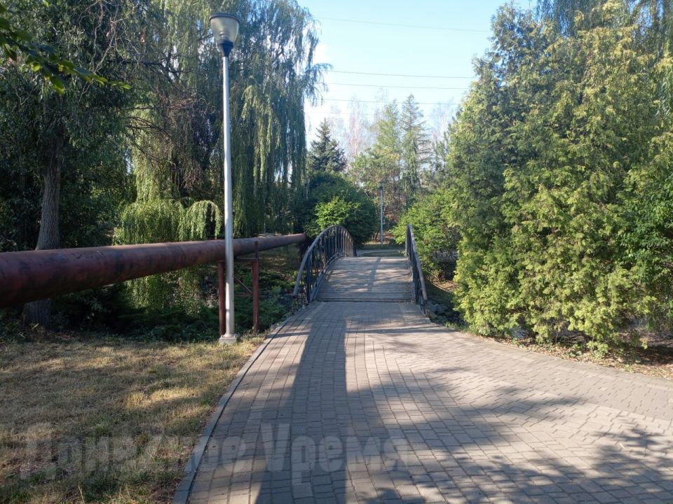 От оазиса остались только воспоминания: сквер у "Конти" в Донецке засох и выцвел От оазиса остались только воспоминания: сквер у "Конти" в Донецке засох и выцвел