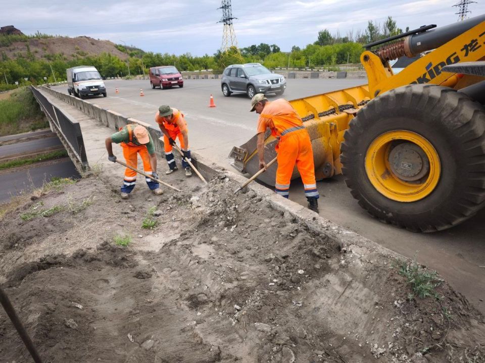 #свод_за_сутки #летнее_содержание #свод_за_сутки #летнее_содержание
