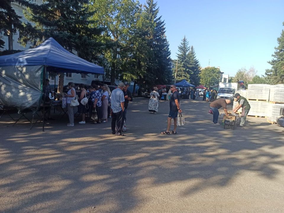 Александр Качанов: В Докучаевске на центральной площади прошла ярмарка Александр Качанов: В Докучаевске на центральной площади прошла ярмарка