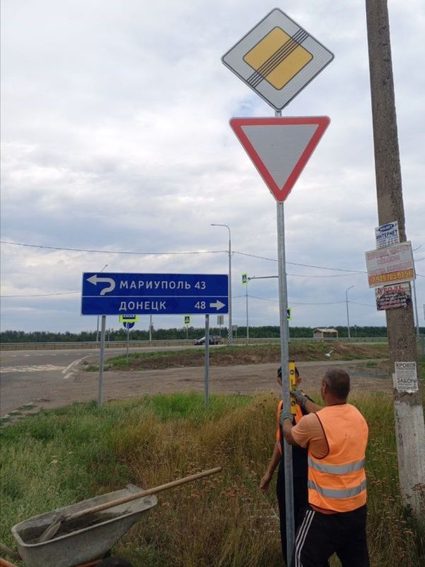 #свод_за_сутки #летнее_содержание #свод_за_сутки #летнее_содержание