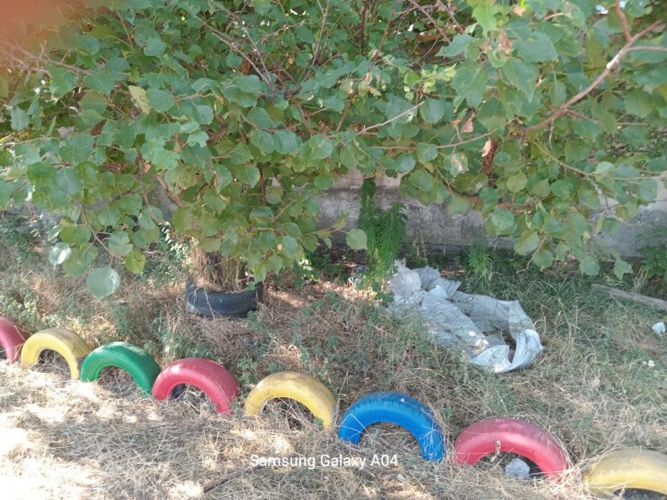 Благоустройство Петровского территориального отдела Старобешевского округа Благоустройство Петровского территориального отдела Старобешевского округа