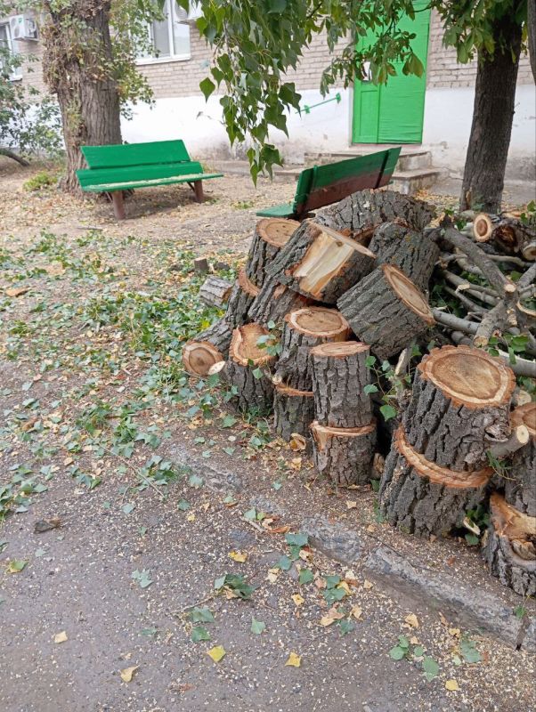 В Старобешевском округе продолжается ликвидация аварийных деревьев В Старобешевском округе продолжается ликвидация аварийных деревьев