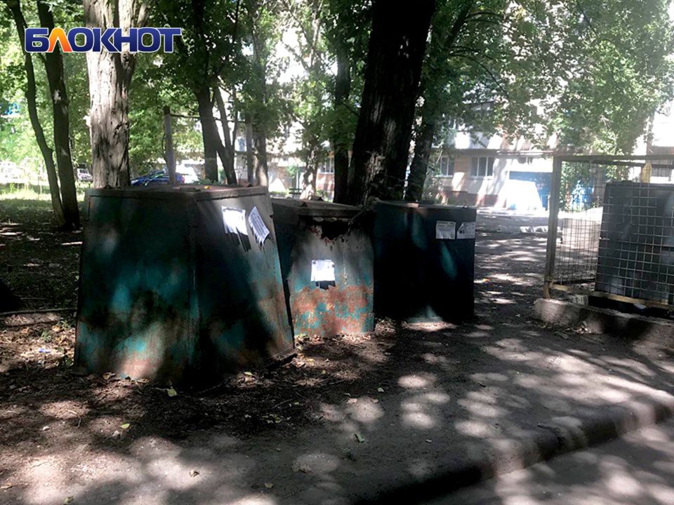Жители улицы Бирюзова пожаловались на множество аварийных деревьев и разбросанный мусор Жители улицы Бирюзова пожаловались на множество аварийных деревьев и разбросанный мусор