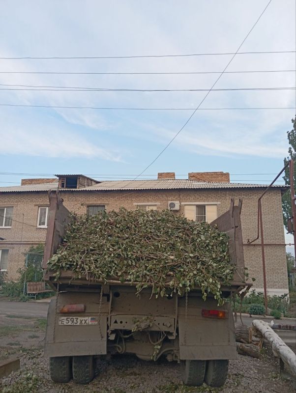 В Старобешевском округе продолжается ликвидация аварийных деревьев В Старобешевском округе продолжается ликвидация аварийных деревьев