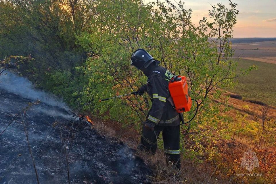 В фокусе пресс-службы МЧС ДНР оказались рабочие моменты по тушению пожара на Синей горе в Амвросиевском районе В фокусе пресс-службы МЧС ДНР оказались рабочие моменты по тушению пожара на Синей горе в Амвросиевском районе