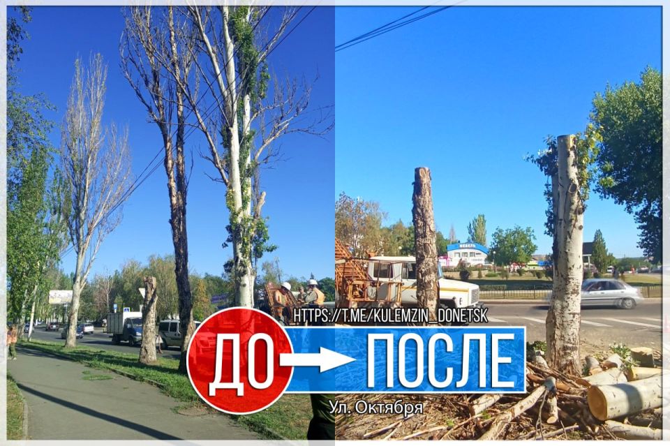 Сотрудники коммунального предприятия «Зеленое строительство» ежедневно вносят свой вклад в благоустройство города Сотрудники коммунального предприятия «Зеленое строительство» ежедневно вносят свой вклад в благоустройство города