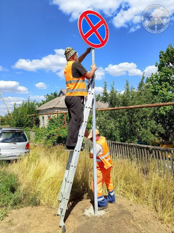 #свод_за_сутки #летнее_содержание #свод_за_сутки #летнее_содержание