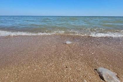 Денис Пушилин об альтернативных методах доставки воды в регион Денис Пушилин об альтернативных методах доставки воды в регион