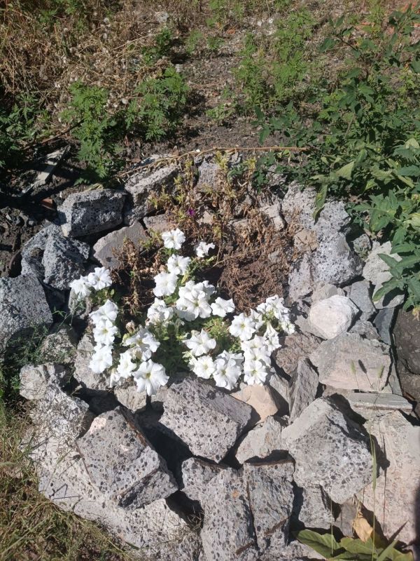 Таймураз Арсоев: Совместно с Главой Волновахского муниципального округа Константином Зинченко встретились с жителями г. Угледар Таймураз Арсоев: Совместно с Главой Волновахского муниципального округа Константином Зинченко встретились с жителями г. Угледар