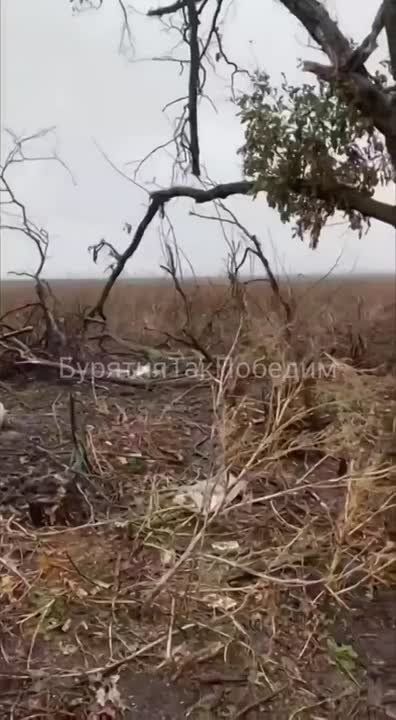 Архивное видео. Зима 2024 года