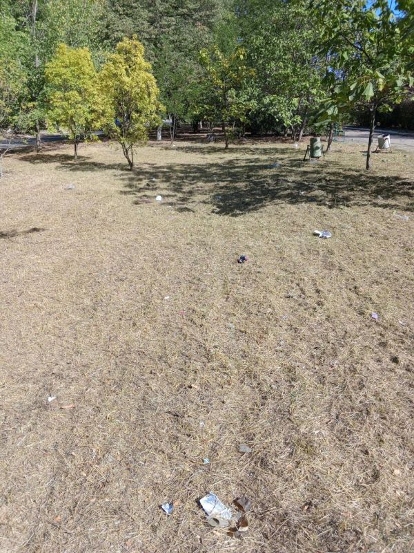 В Новом Свете выполнены работы по покосу травы в сквере по улице Ленина В Новом Свете выполнены работы по покосу травы в сквере по улице Ленина