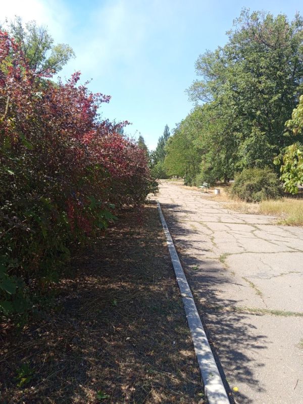 В Новом Свете выполнены работы по покосу травы в сквере по улице Ленина В Новом Свете выполнены работы по покосу травы в сквере по улице Ленина
