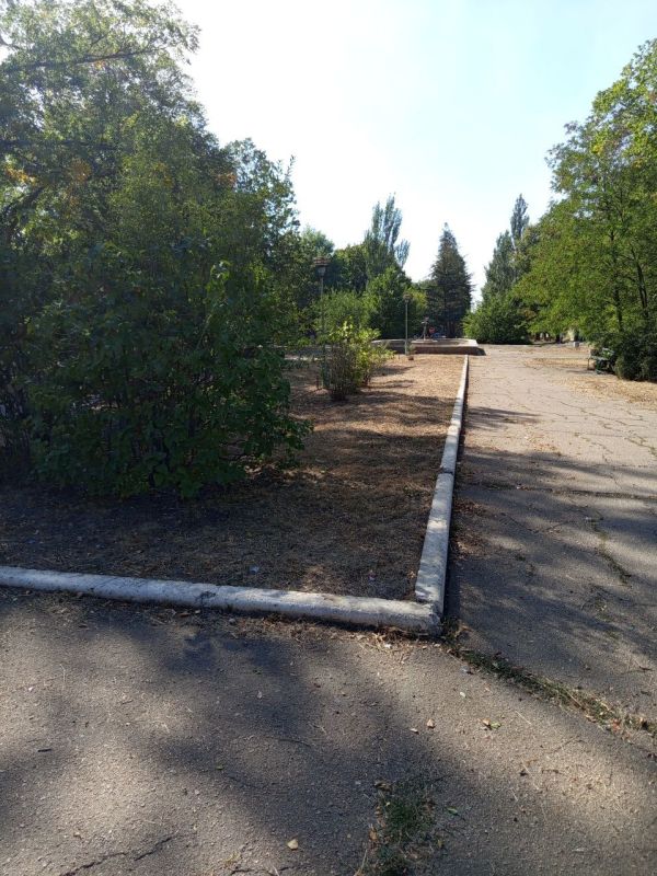 В Новом Свете выполнены работы по покосу травы в сквере по улице Ленина В Новом Свете выполнены работы по покосу травы в сквере по улице Ленина