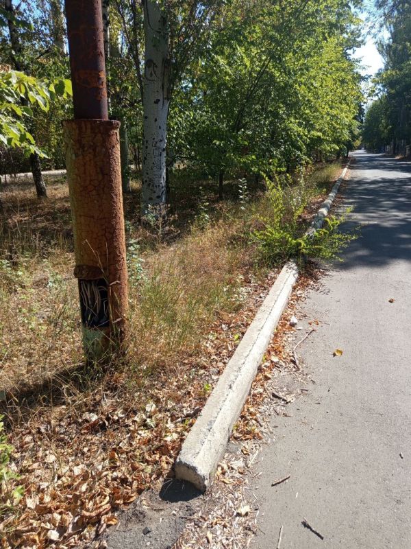 В Новом Свете выполнены работы по покосу травы в сквере по улице Ленина В Новом Свете выполнены работы по покосу травы в сквере по улице Ленина