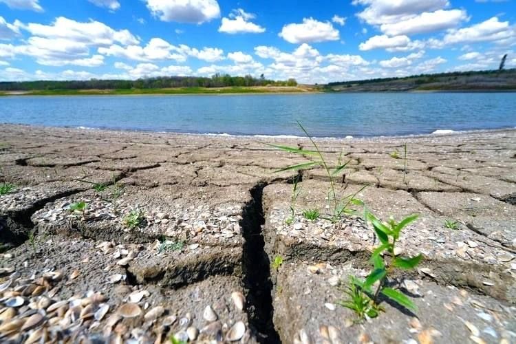 Все средства брошены на борьбу с водным кризисом: как решается одна из самых острых проблем Республики Все средства брошены на борьбу с водным кризисом: как решается одна из самых острых проблем Республики