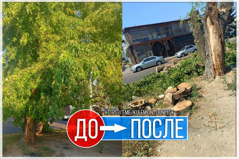 Алексей Кулемзин: Бригады специалистов коммунального предприятия «Зеленое строительство» заботятся о зелёных зонах в районах Донецка и городе Моспино Алексей Кулемзин: Бригады специалистов коммунального предприятия «Зеленое строительство» заботятся о зелёных зонах в районах Донецка и городе Моспино