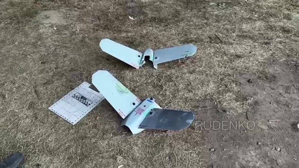  :         ,    