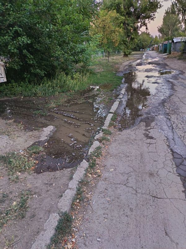 Борьба за воду единой командой Борьба за воду единой командой