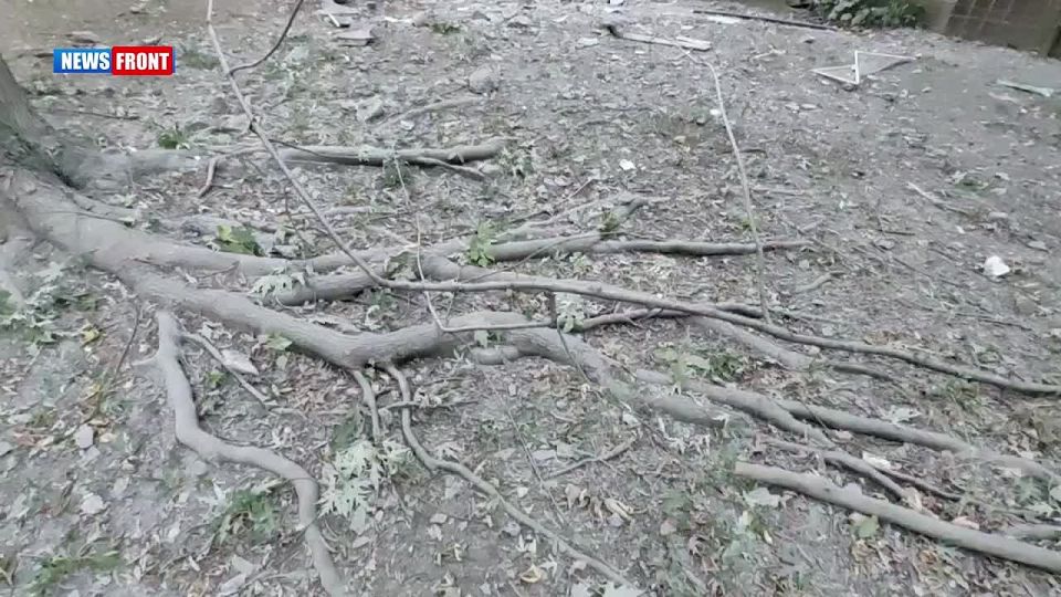  :  ,   -          
