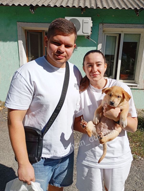Алексей Кулемзин: Сотрудники предприятия «Животные в городе» ежедневно дарят надежду бродячим собакам, которые борются за выживание на улицах Алексей Кулемзин: Сотрудники предприятия «Животные в городе» ежедневно дарят надежду бродячим собакам, которые борются за выживание на улицах