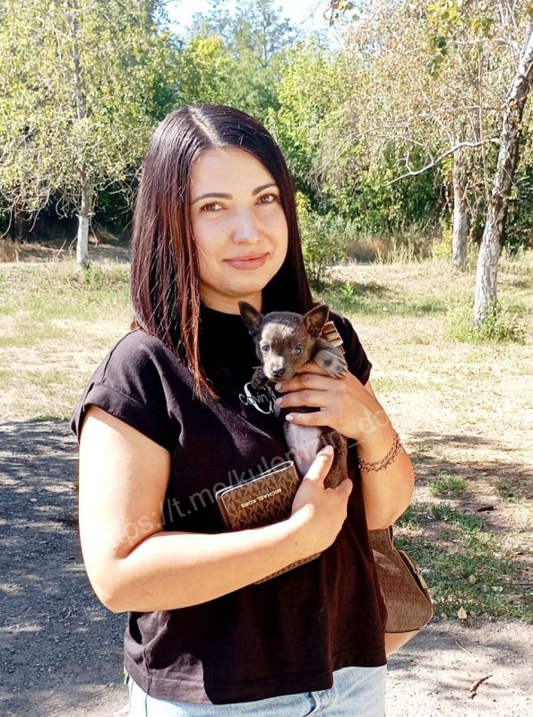 Алексей Кулемзин: Сотрудники предприятия «Животные в городе» ежедневно дарят надежду бродячим собакам, которые борются за выживание на улицах Алексей Кулемзин: Сотрудники предприятия «Животные в городе» ежедневно дарят надежду бродячим собакам, которые борются за выживание на улицах