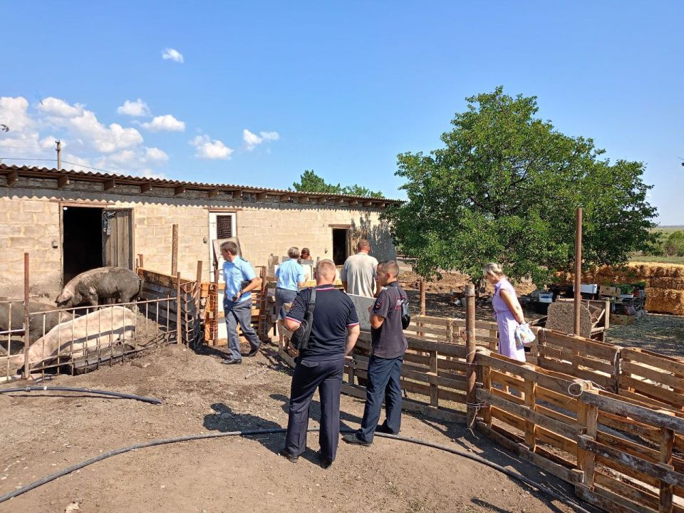 В селе Новобешево Старобешевского муниципального округа разгорелся конфликт между соседями, привлекший внимание контролирующих органов В селе Новобешево Старобешевского муниципального округа разгорелся конфликт между соседями, привлекший внимание контролирующих органов