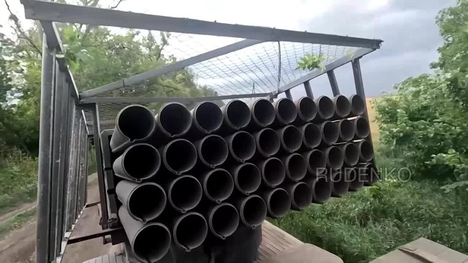  :            - 