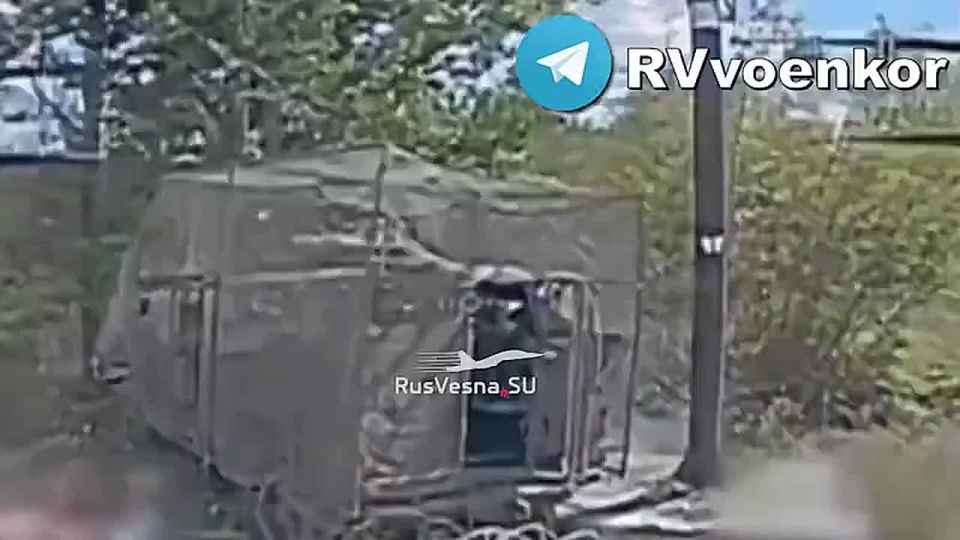    :       