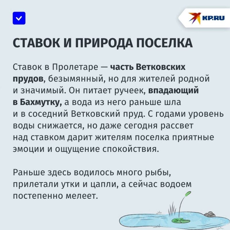 «Надеемся, что проблема с водой решится раньше, чем обмелеет ставок»: жители поселка Пролетар в Донецке переживают за водоем «Надеемся, что проблема с водой решится раньше, чем обмелеет ставок»: жители поселка Пролетар в Донецке переживают за водоем