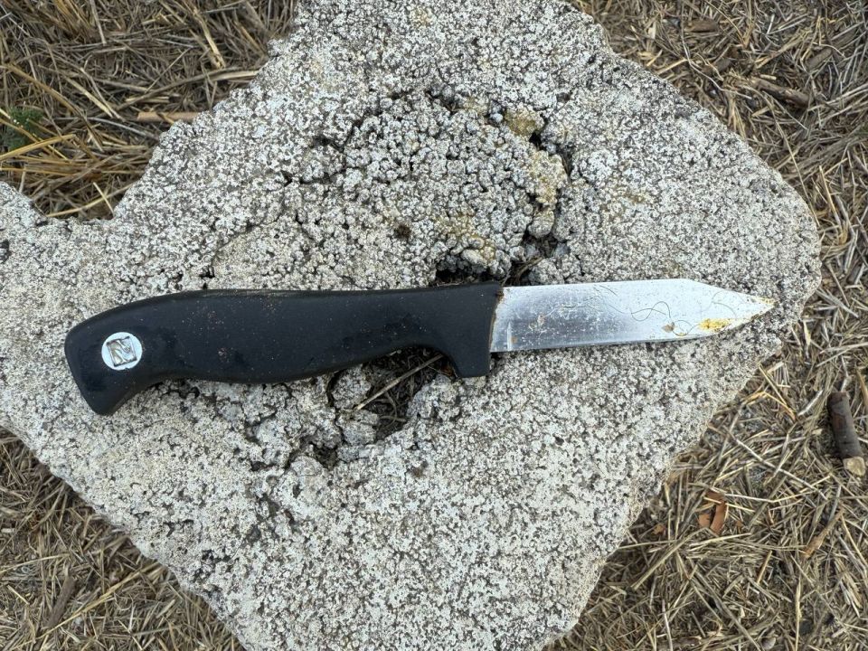 В Кировском районе Донецка женщина убила сожителя во время застолья В Кировском районе Донецка женщина убила сожителя во время застолья