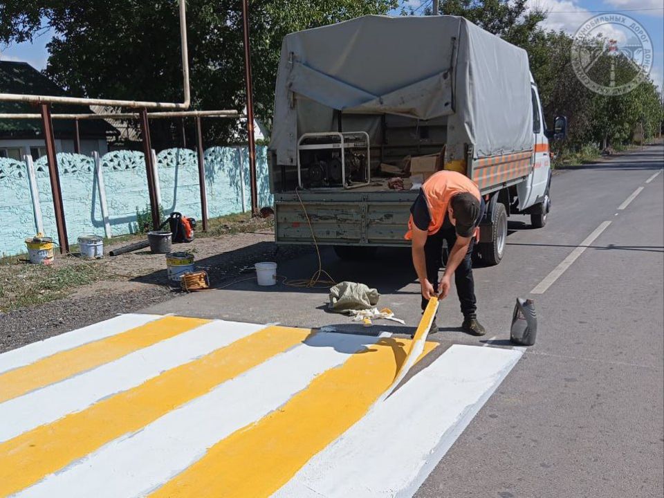 #свод_за_сутки #летнее_содержание #свод_за_сутки #летнее_содержание