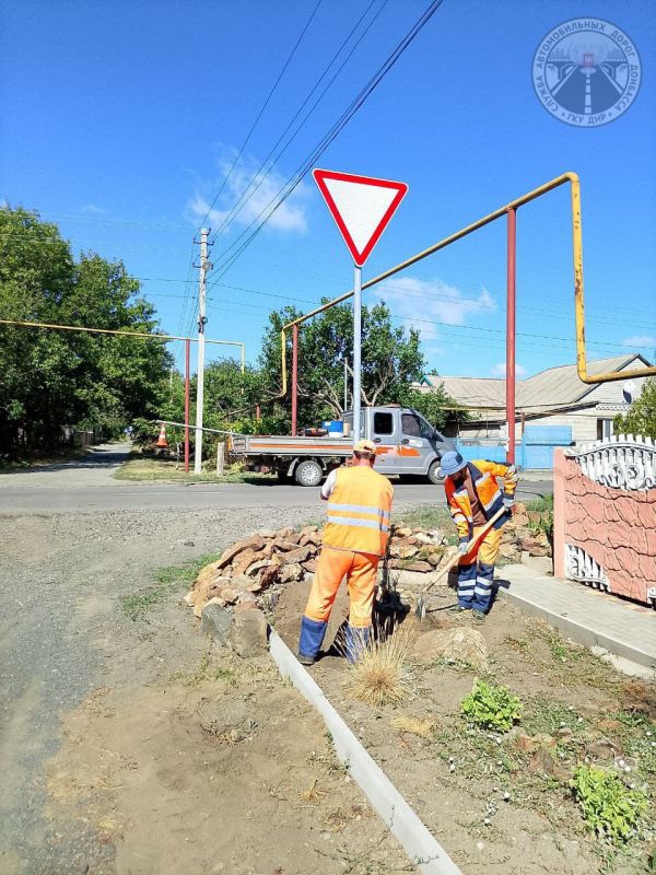 #свод_за_сутки #летнее_содержание #свод_за_сутки #летнее_содержание