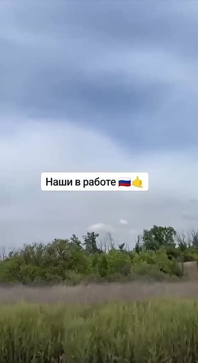  :  ,     - 