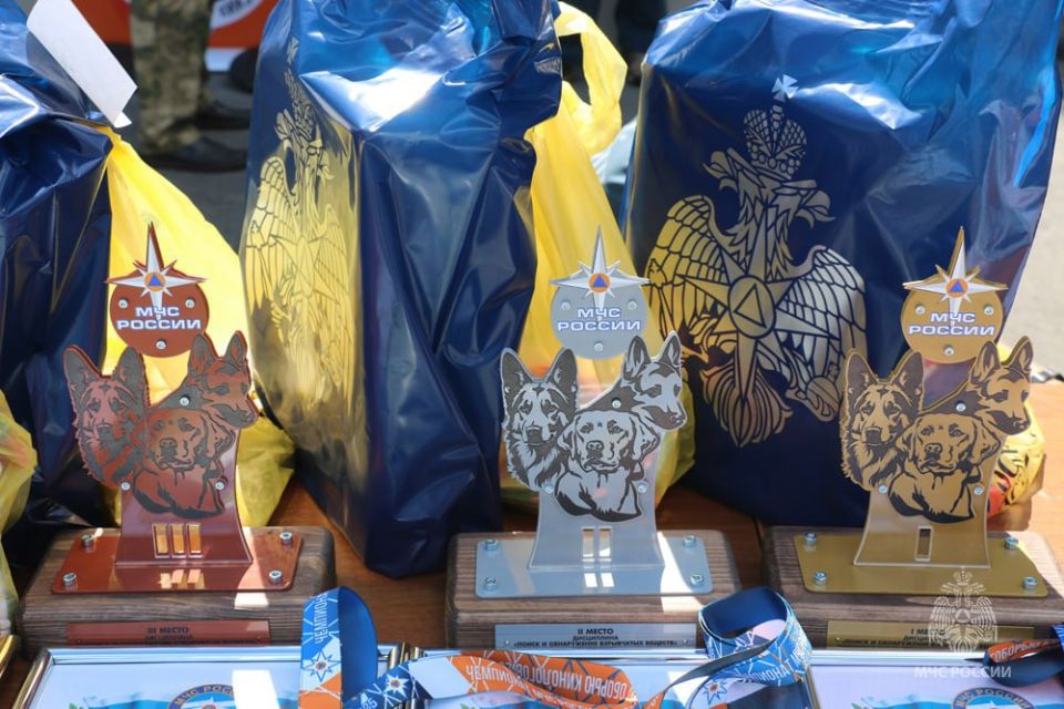 Бронзу Чемпионата МЧС России завоевали кинологические расчёты Специализированного спасательного центра МЧС России по ДНР Бронзу Чемпионата МЧС России завоевали кинологические расчёты Специализированного спасательного центра МЧС России по ДНР